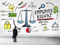 Basic Rights of an Employee in India | Read Writee