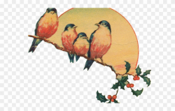 Retro Clipart Transparent - Poet Lover Birdwatcher - Png ...