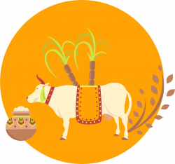 Thai Pongal Cattle Mattu Pongal Festival - Thai rice pot culture ...