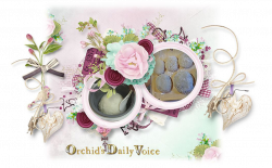 Orchid's Daily Voice (Home Page): Rice-Cake Making '2017', etc;