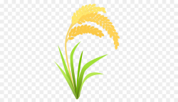 Rice Cartoon clipart - Rice, Wheat, Yellow, transparent clip art