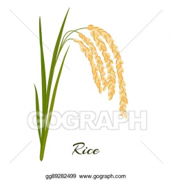 Vector Clipart - Rice. leaves and spikelets of rice on a ...