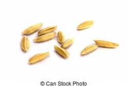 Rice seed clipart » Clipart Portal