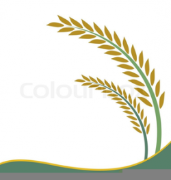 Free Clipart Rice Plant | Free Images at Clker.com - vector ...