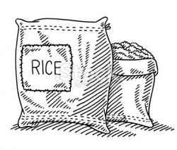 Hand-drawn vector drawing of a Sack Of Rice and an opened ...