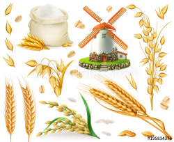 Wheat, rice, oats, barley, flour, mill, grain. 3d realistic ...