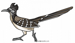Roadrunner drawings clipart images gallery for free download ...