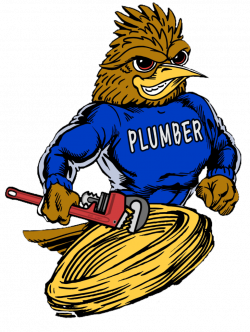 Roadrunner Plumber | Plumbing & Drain Service | Phoenix AZ