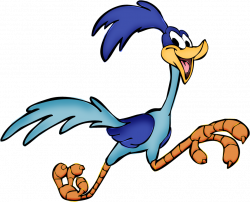 Free Road Runner Cliparts, Download Free Clip Art, Free Clip ...