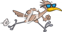 Roadrunner clipart images and royalty-free illustrations ...