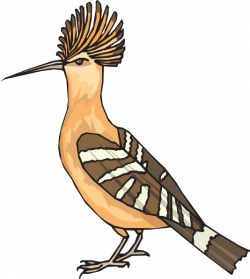 Angry Hoopoe Clip Art at Clker.com - vector clip art online, royalty ...