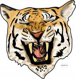 Laugh Tiger Face Clipart Png - Clipartly.comClipartly.com