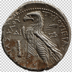 Coin Roman Empire Ancient Rome Ancient History Roman ...