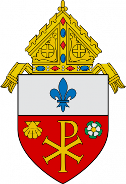 File:Roman Catholic Diocese of Orlando.svg - Wikipedia