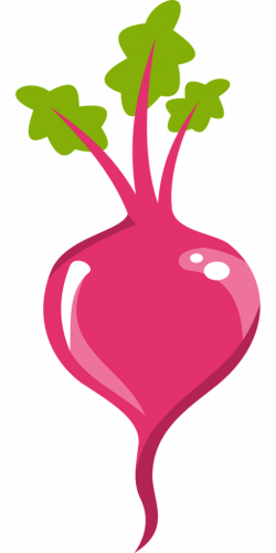Possible Side Effects of Beetroot | Healthy Beeter