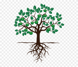 Social Work Opportunities - Drawing Of Apple Tree With Roots ...
