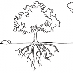 Elizabeth Family Tree Black And White With Roots Clipart ...