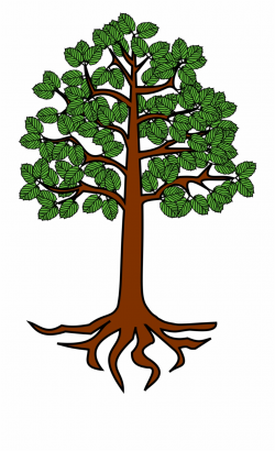Roots Clipart Cartoon Tree - Tree With Root Clipart Free PNG ...