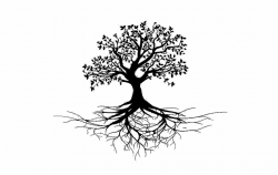 Mmmp Certifications In Coldwater - Clip Art Tree With Roots ...