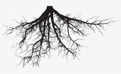 Soil And Roots Png Clipart Black And White Download - Tree ...