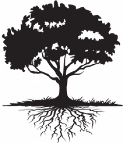 Family Reunion Tree With Roots Clipart - Clip Art Library