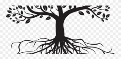 23 Jan 2017 - Family Tree With Roots Png Clipart (#2118389 ...