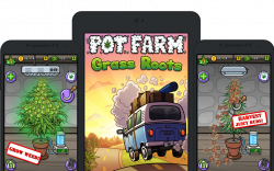 Pot Farm | Grass Roots