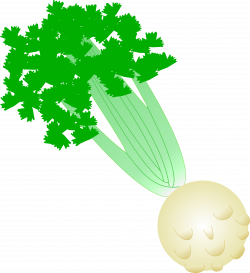 Clipart - Celery with root