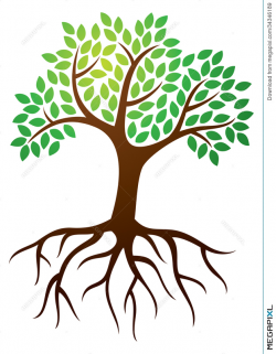 Tree Roots Logo Illustration 34346189 - Megapixl