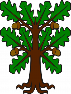 Clipart - Stylised oak