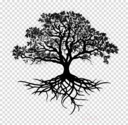 Oak Tree Drawing clipart - Tattoo, Tree, Oak, transparent ...