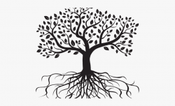 Drawn Roots Transparent Leaf - Tree Roots Drawing #487929 ...