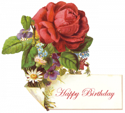 Funny Birthday Card Messages