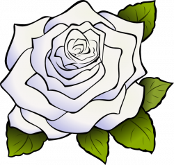 White Rose Clipart & Look At White Rose Clip Art Images ...