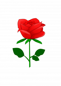 Clipart - Red Rose