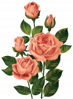 Roses PNG Clipart Image | Gallery Yopriceville - High-Quality ...