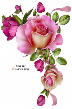 Xr0dLA9pePXw4j-3MWwDMb6YVkw.png (640×973) | Flower clipart ...