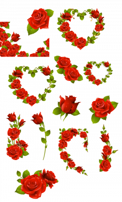 Clipart english rose