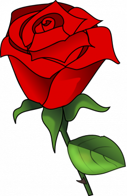 Red Rose Clipart | i2Clipart - Royalty Free Public Domain Clipart