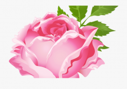 Pink Rose Clipart Free Download Best Pink Rose Clipart ...