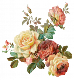 0_caa00_656bab72_orig (1298×1400) | розы | Pinterest | Flower ...