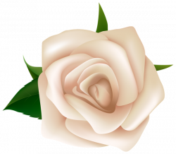 White Rose Clipart PNG Image | Gallery Yopriceville - High-Quality ...