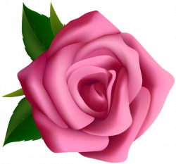 Pink Rose Clipart PNG Image | My favorite things too | Pinterest ...