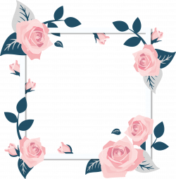 Rose PNG Images – A Flower That Speaks | PNG Only