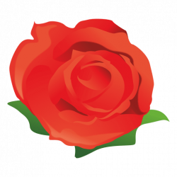 Red rose cartoon - Transparent PNG & SVG vector