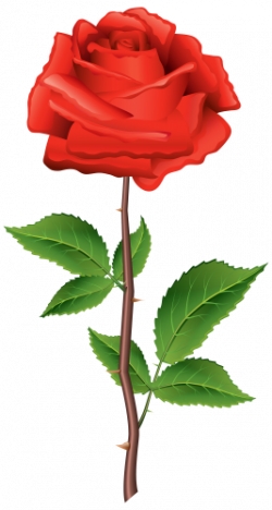 Stem Red Rose PNG Clipart | kwiaty | Pinterest | Rose, Clip art and ...