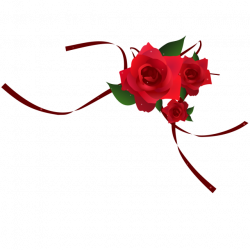 Png Red Rose Border, Red, Red Rose, Red Rose Vector PNG Image and ...