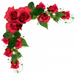 Beautiful Decor with Roses PNG by aarizvi on DeviantArt