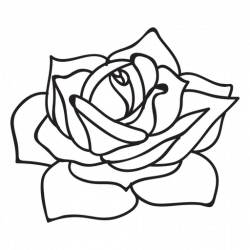 Flowering rose stroke icon flower - Transparent PNG & SVG vector