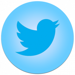 Bird Blue Twitter Icon Png Images - 5971 - TransparentPNG